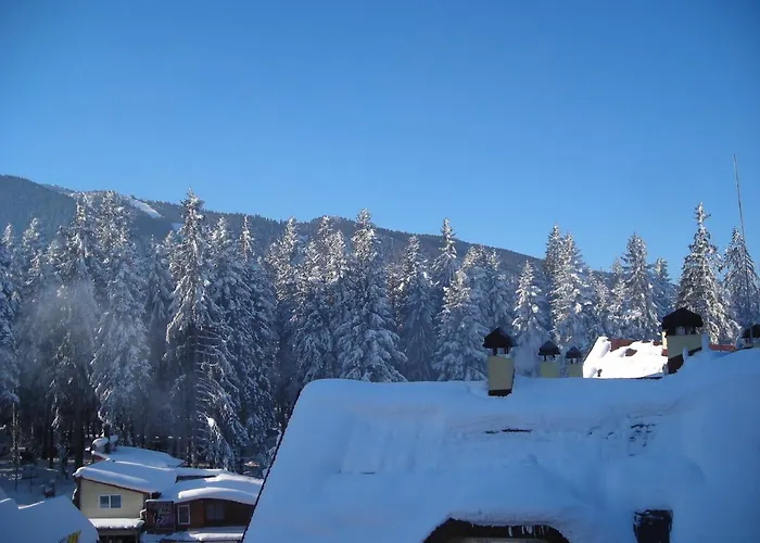 Iglika 2 Floor Appartamento *