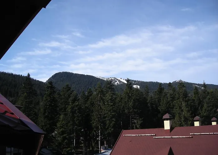 Iglika 2 Floor Appartamento *